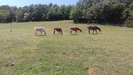 Poney Club De Pelleautier, Centre Equestres à Pelleautier