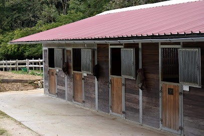 Les Ecuries Du Bois D'amont, Centre Equestres à Aviernoz