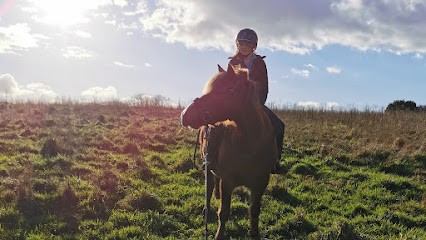 Domaine De Kerolivier - Club Ffe, Centre Equestres à Plogonnec