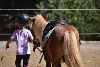 Poney toon's, Centre Equestres à Sérignan