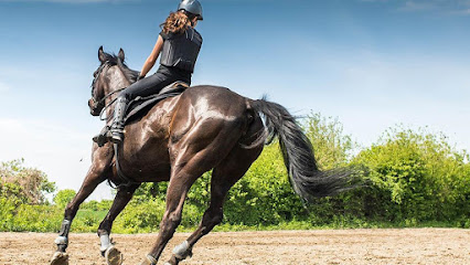 Sb Horse, Centre Équestre à Luze