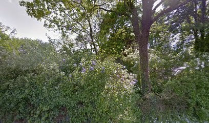 Ebling Marie, Centre Equestres à Vireux-Wallerand