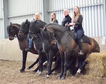 BEATRICE LEFEBVRE, Centre Equestres à Ribécourt-la-Tour