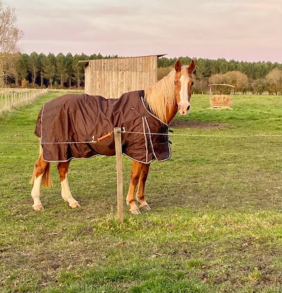 La Ferme d'Alice, Pension pour Chevaux à Saint-Laurent-Médoc