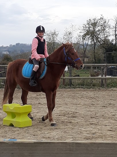Les Poneys De Penol, Centre Equestres à Penol