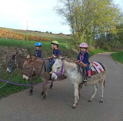 Flore y Anes, Centre Equestres à Saint-Léger-sur-Dheune