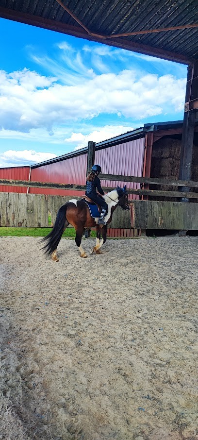 ECURIE DE LA NEYETTE, Centre Equestres à Saizerais