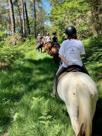 Pony Club Equi Libre, Centre Equestres à Renac