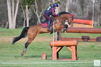 Ecurie De Pluméria, Pension Pour Chevaux à Plourin-lès-Morlaix