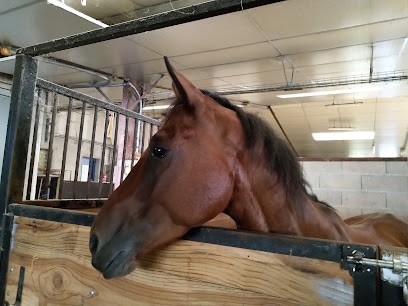 ECURIE DU DESIR, Centre Equestres à Lucy-sur-Cure