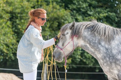 Ecole Sense - Riding Comportementale, Centre Equestres à Rostrenen