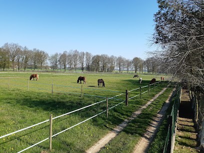 Pension De Chevaux De L'Elev'Haras, Pension pour Chevaux au Fidelaire