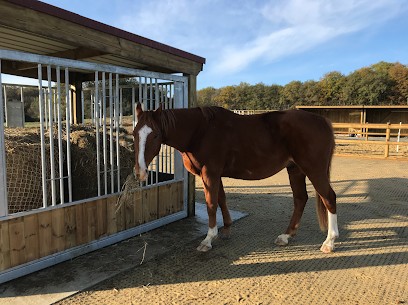 Ecuries Du Ponceau, Pension pour Chevaux à Thilouze