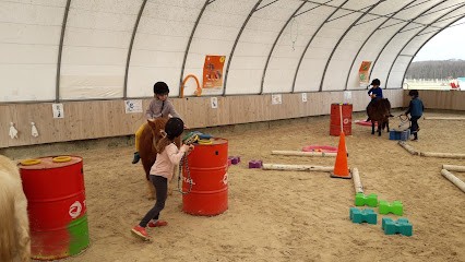Haras D Amelone C E Les Joncs, Centre Equestres à Griselles