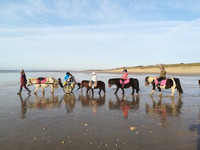 Pony Club Les Petites Folies, Centre Equestres à La Couarde-sur-Mer