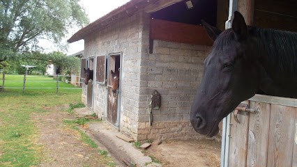 La ferme de Lhomont, Pension pour Chevaux à Montpont-en-Bresse