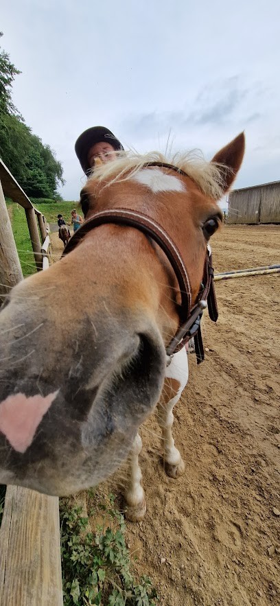 Ecuries De La Boisette, Centre Equestres aux Grandes-Ventes