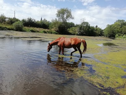 LA CAVALERIE DU MOULIN, Centre Equestres à Usseau