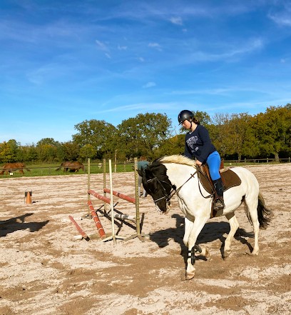 Equestrian Center Le Rio Javar : École D'équitation Avec Séjour Équestre Pour Adultes Et Adolescents À Farges-Allichamps, Centre Equestres à Farges-Allichamps