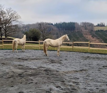 les écuries de l'Harmonie, Pension pour Chevaux à Saint-Frion