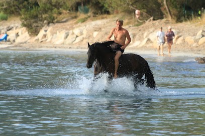 Equicomplice A Staffa, Centre Equestres à Porto-Vecchio