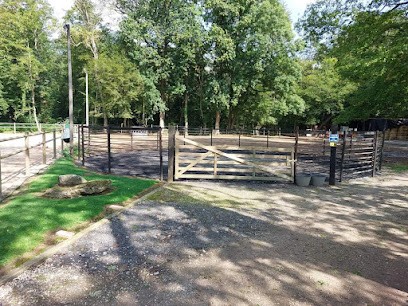 Les écuries De La Madeleine, Pension pour Chevaux à Rollot