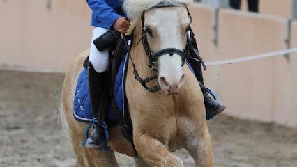 Poney Club D, Centre Equestres à Ozoir-la-Ferrière
