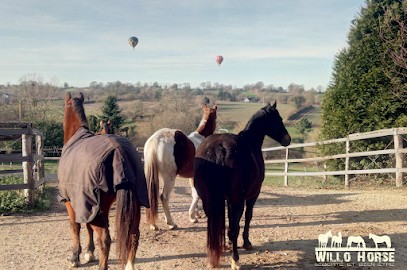 Tipi Ranch, Centre Equestres à Montrabot