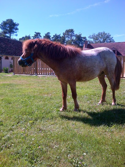 Stables Of Vallees, Centre Equestres à Veilleins