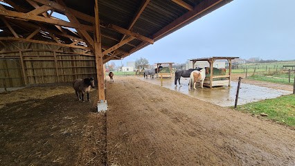 Écurie Active Sabots Libres, Pension pour Chevaux à Laneuveville-en-Saulnois