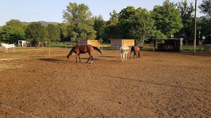 Centre Équestre Les Frênes, Centre Equestres à Lamalou-les-Bains
