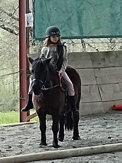 Poney Club Poney City, Centre Equestres à Damiatte