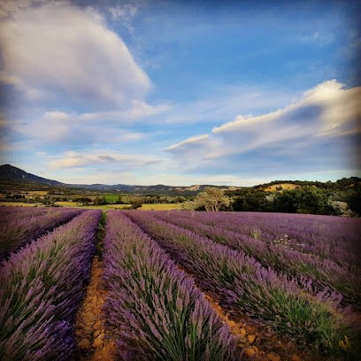 Les Ecuries de la Plaine, Centre Equestres à Villars