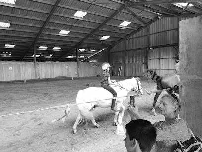 Écurie Nicolas Hui - Al, Centre Equestres à Saint-Laurent-Bretagne