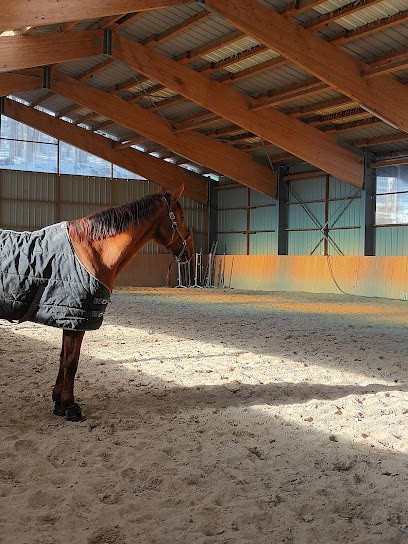 Ecurie Du Serre, Centre Équestre, Centre Equestres à Cholonge