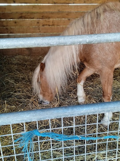 Equestrian Center Du Ternois, Centre Equestres à Croix-en-Ternois