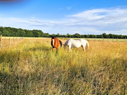 Les Ecuries de La Foye, Pension pour Chevaux à Pers
