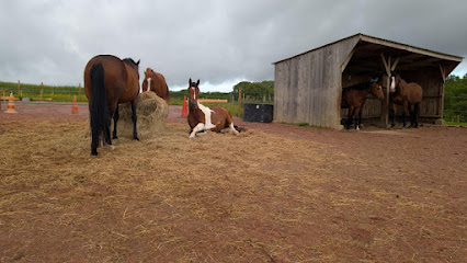 Domaine Du Dan, Pension Pour Chevaux à Hérouville-Saint-Clair