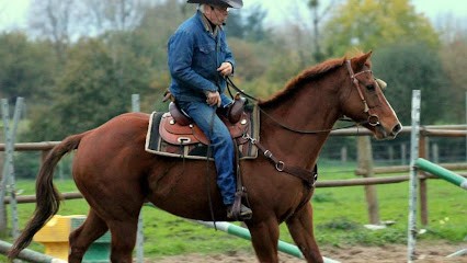 Equestrian Center De La Meilleraie, Centre Equestres aux Sorinières