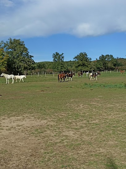 DOMAINE EQUESTRE DE BOISE, Centre Equestres à Valeille