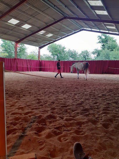 Stalls Du Chêne Roy, Centre Equestres à Saint-Sardos