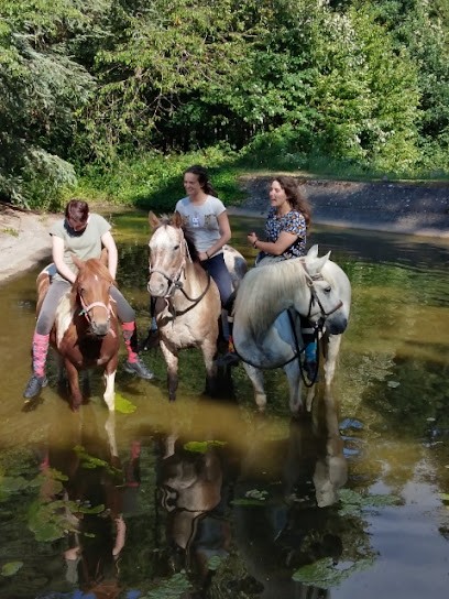 La Ferme Equestre Du Rousset, Centre Equestres à Saint-Igny-de-Vers