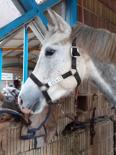 CENTRE EQUESTRE DE FIGEAC, Centre Equestres à Figeac