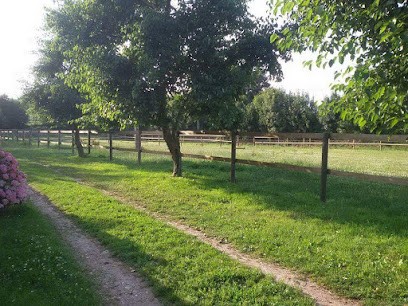 Écurie Des Aulnes, Centre Equestres à Saint-Martin-aux-Buneaux