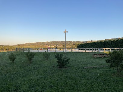 Ecurie Marjorie Flasseur, Pension pour Chevaux à Sonnay