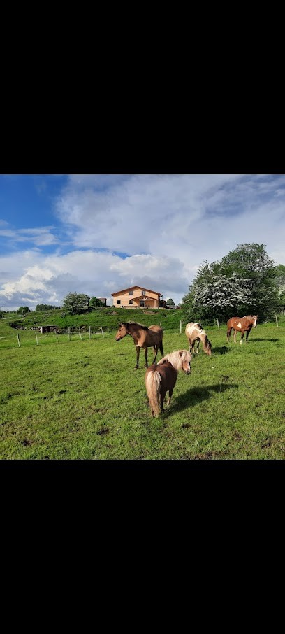 Les Chevaux De La Combe, Centre Equestres à Frasne