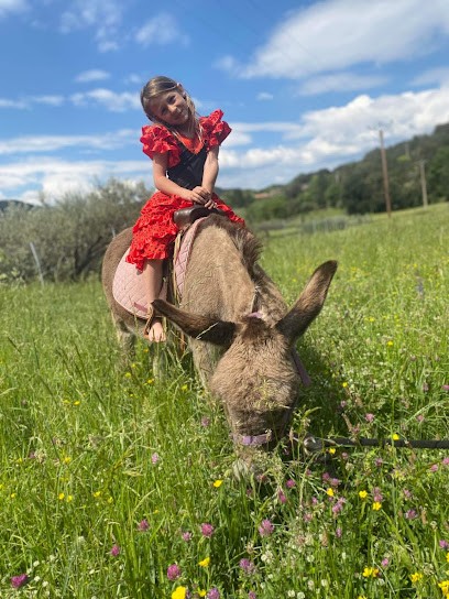 Natur'ânes, Centre Equestres à Mialet