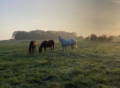 Ecurie De Blettange, Pension pour Chevaux à Bousse