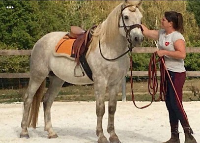 Manade Des Combrailles, Centre Equestres à Saint-Priest-des-Champs