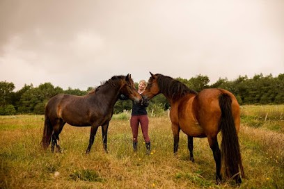 Equestrian Center Area Du Plec, Élevage, Accommodation & Gardening Bio, Centre Equestres à Salaunes